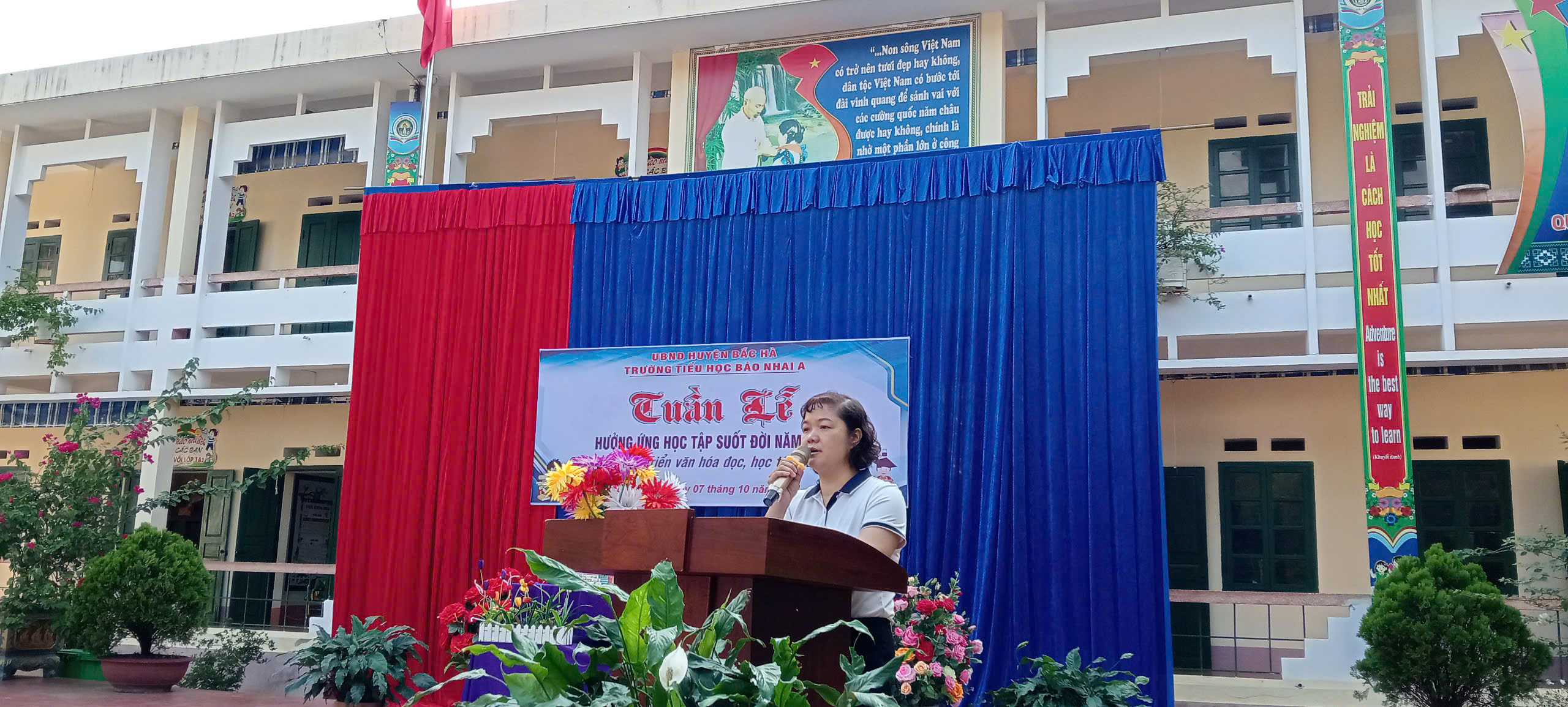 anh tin bai