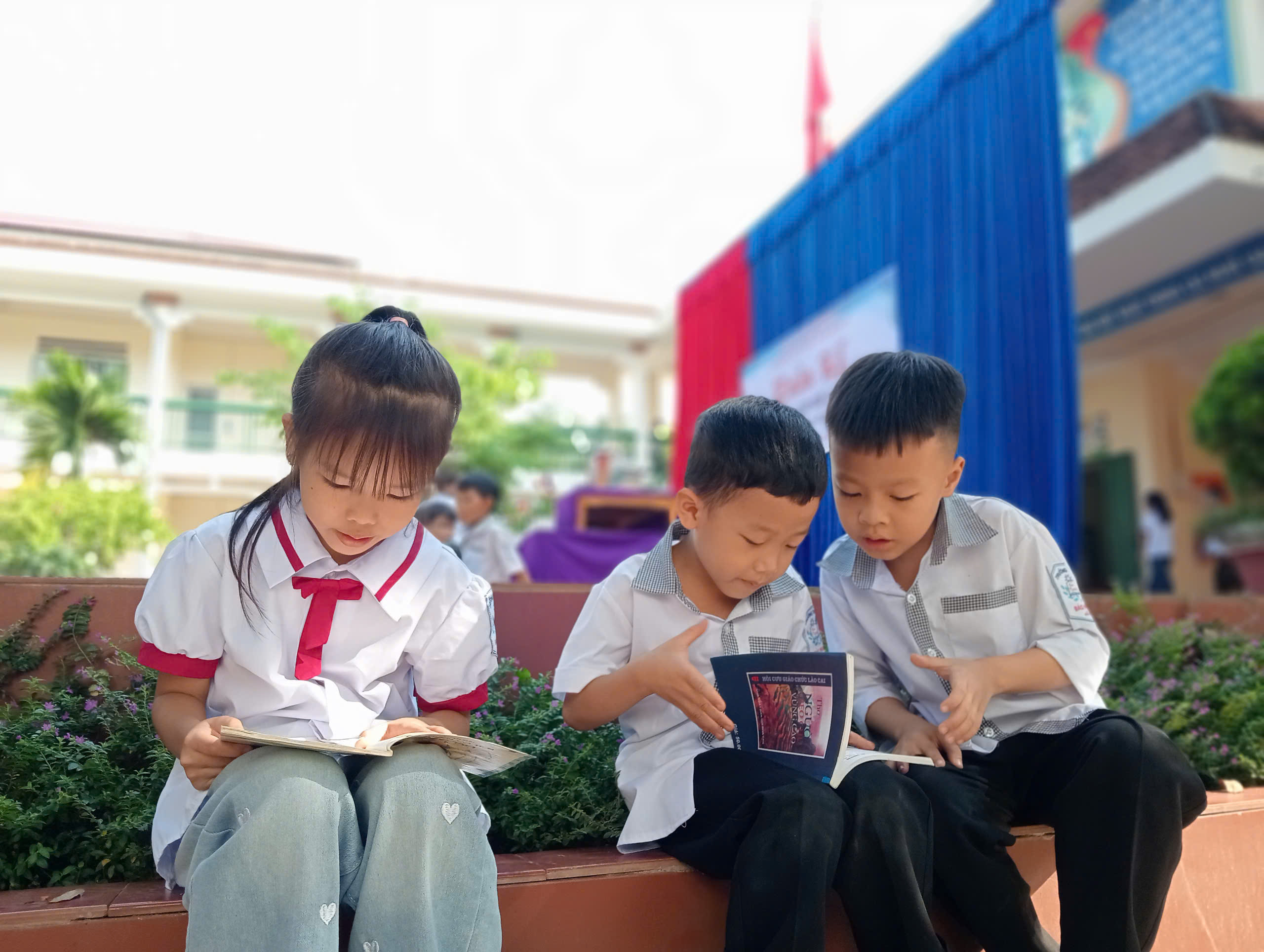 anh tin bai