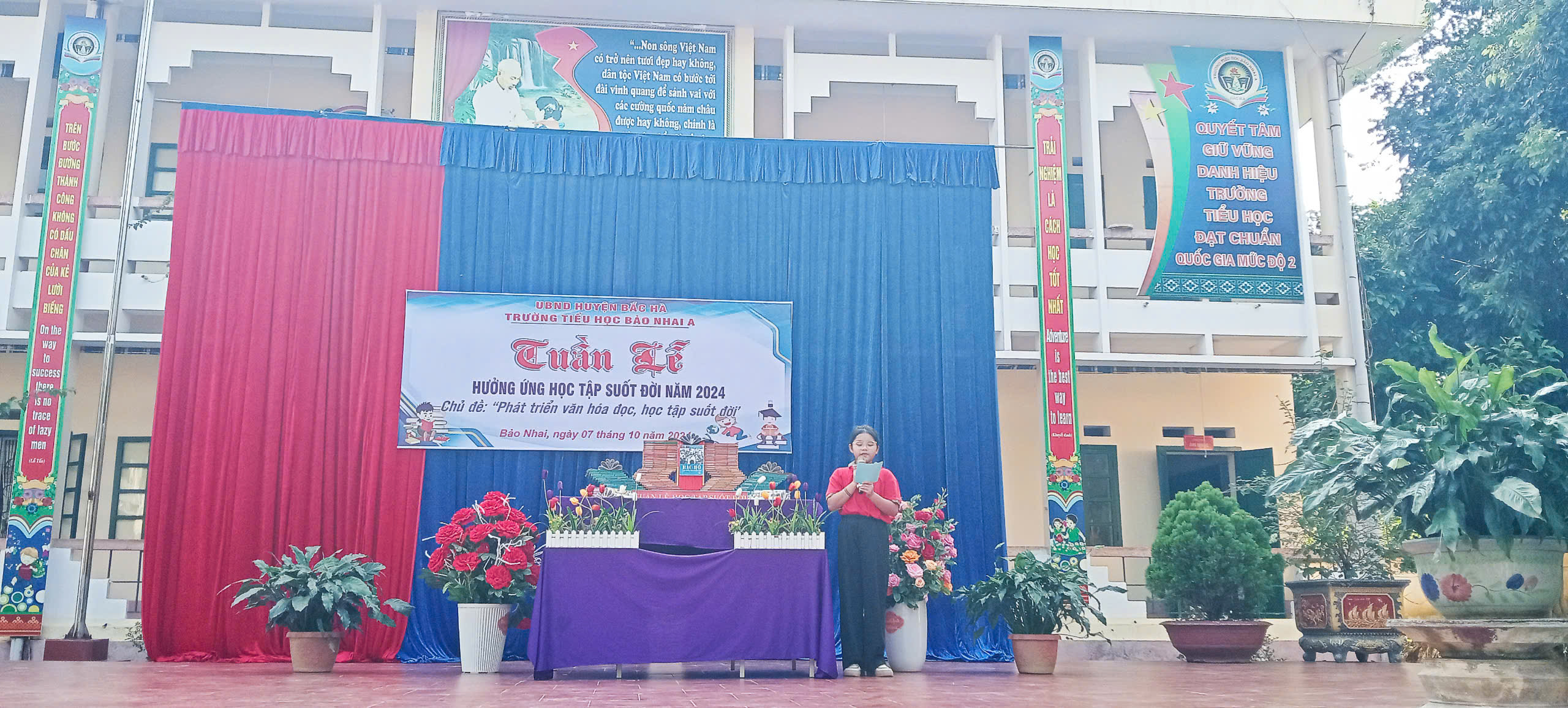 anh tin bai