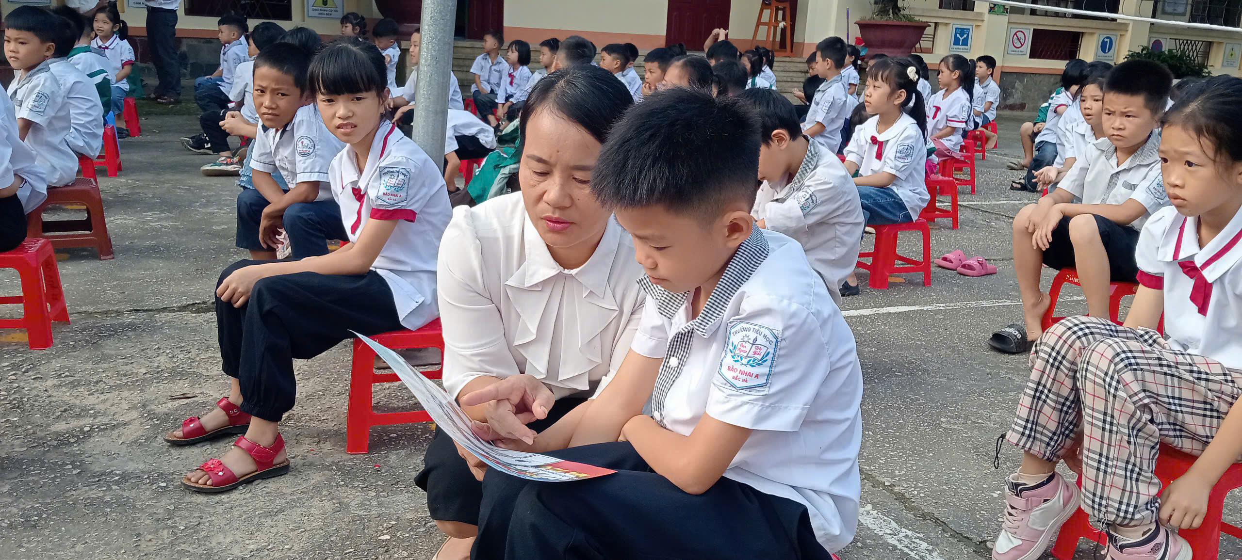 anh tin bai