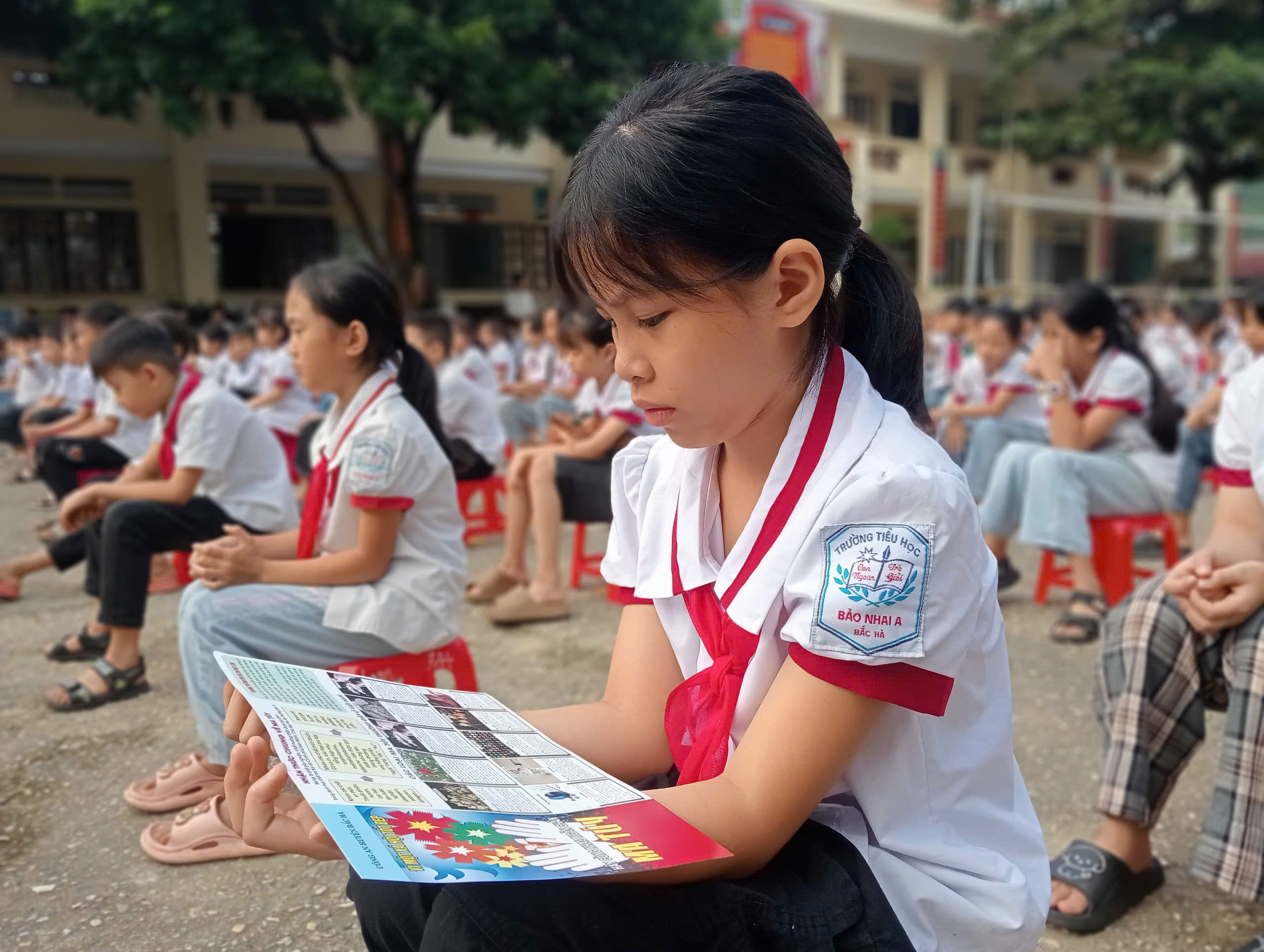 anh tin bai