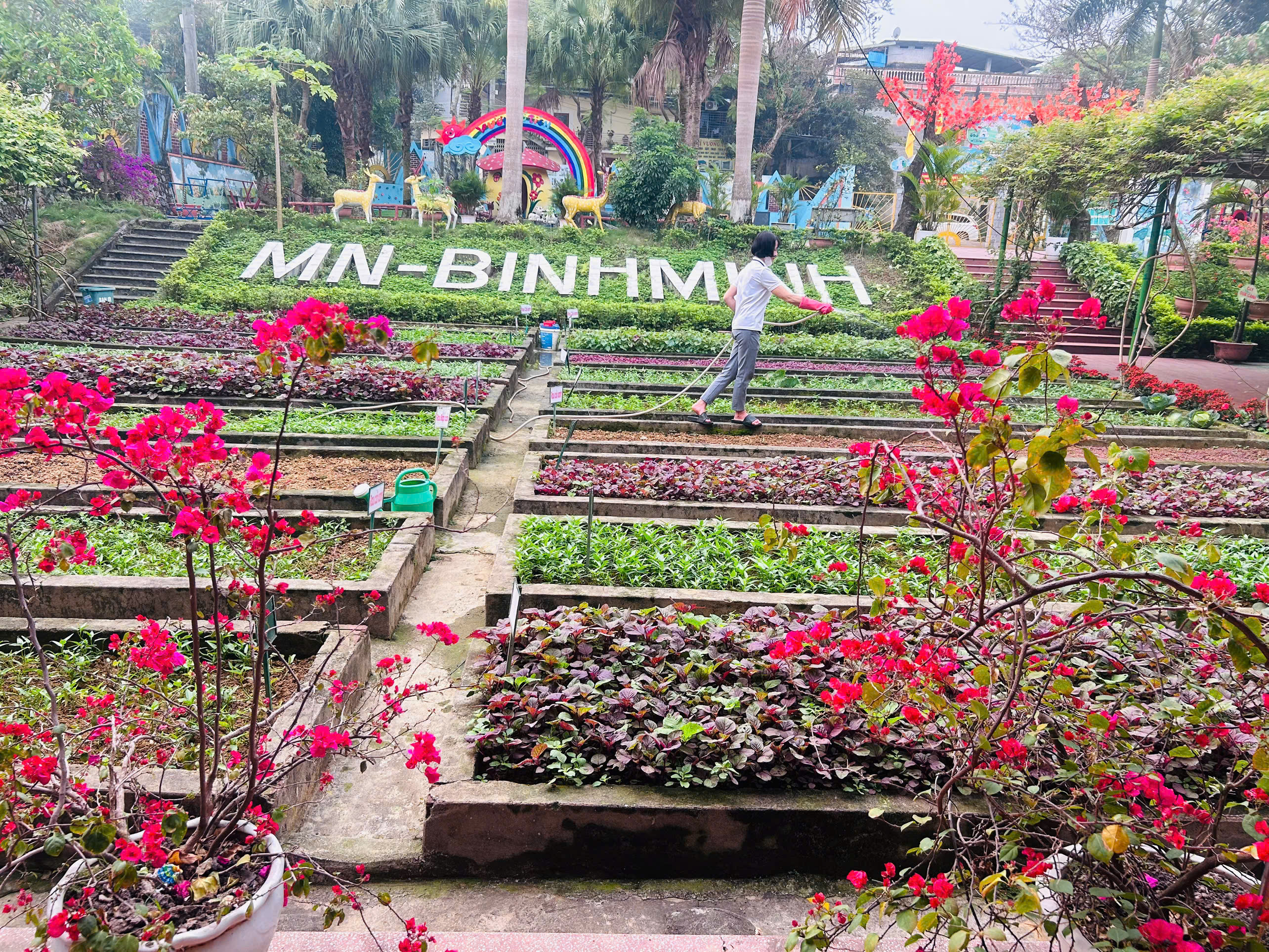 Em yêu trường em