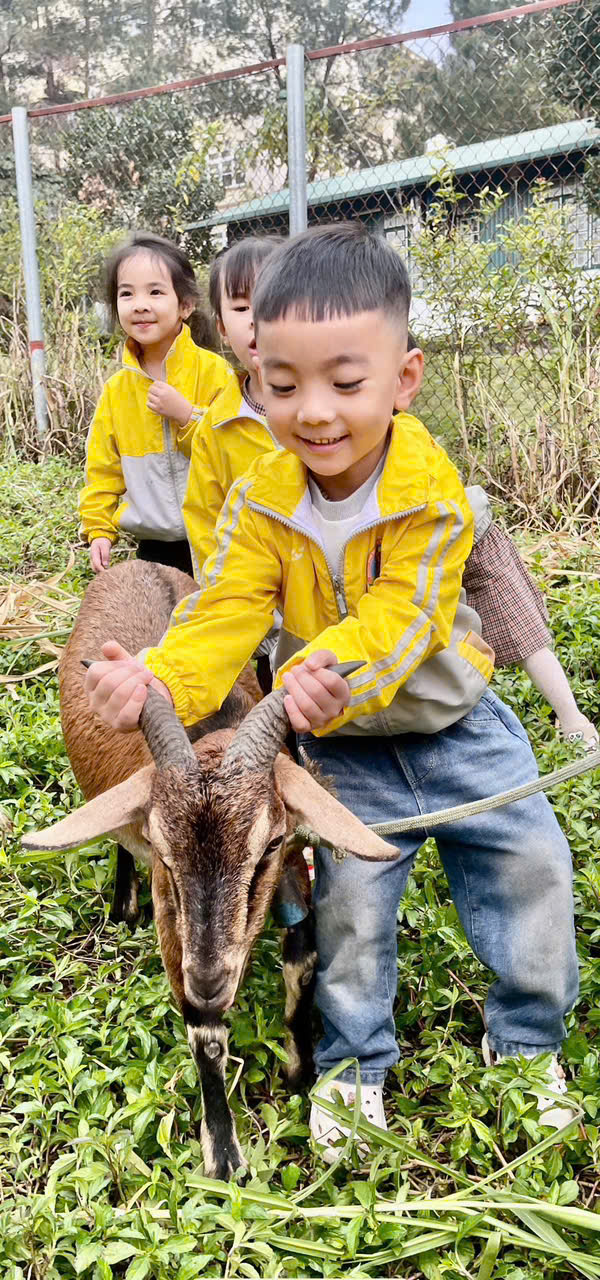 anh tin bai