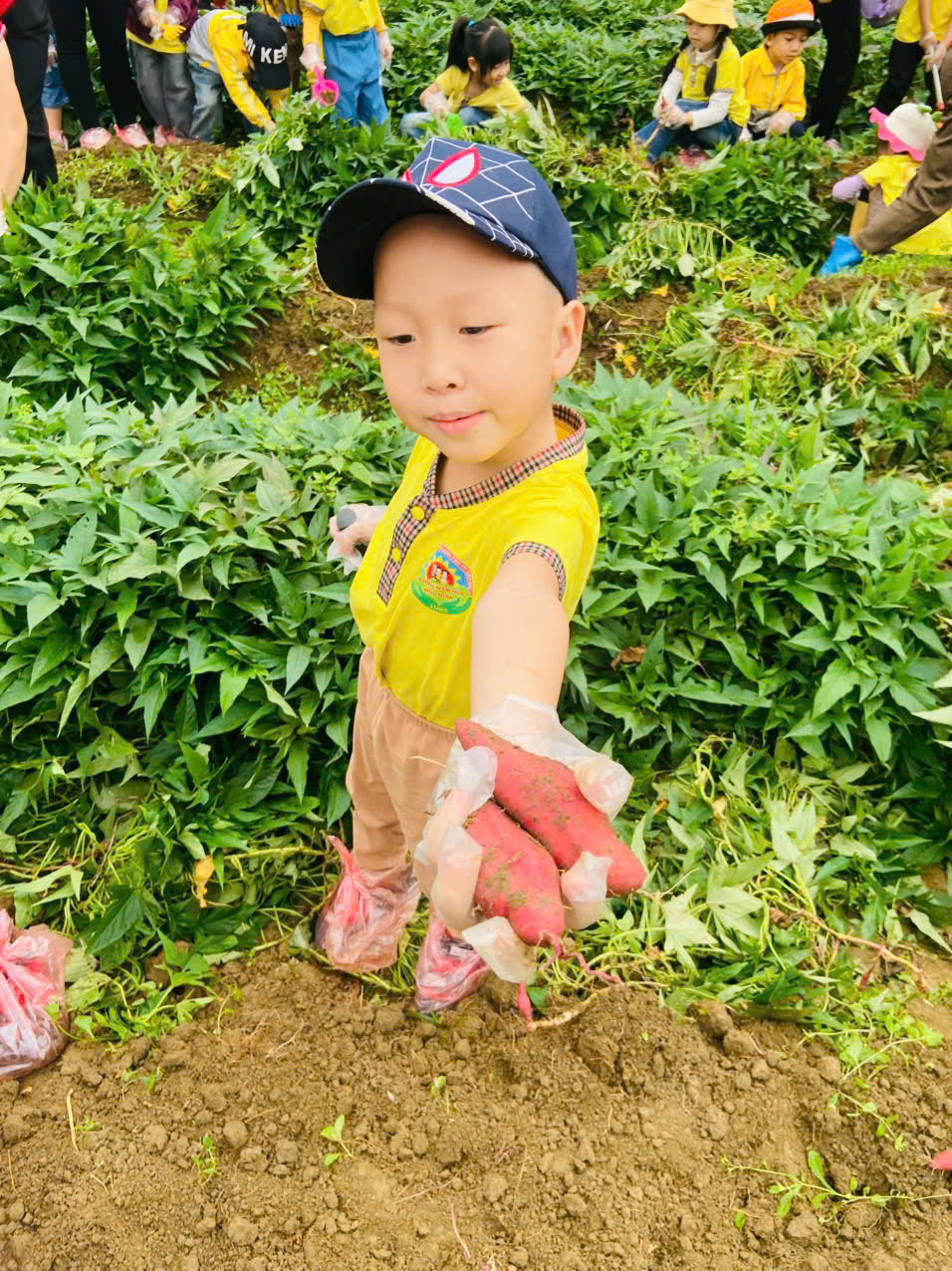 anh tin bai