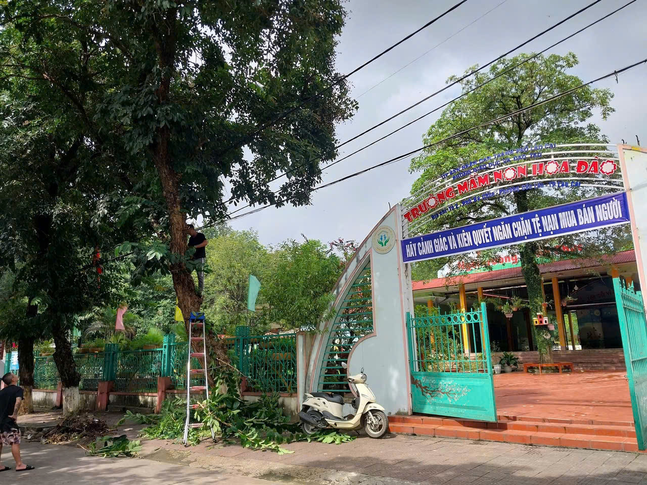 anh tin bai