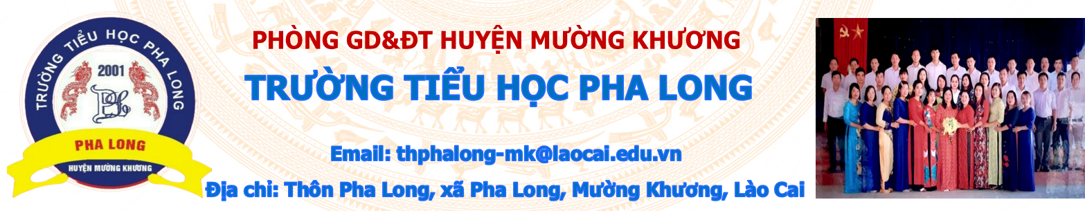 image banner