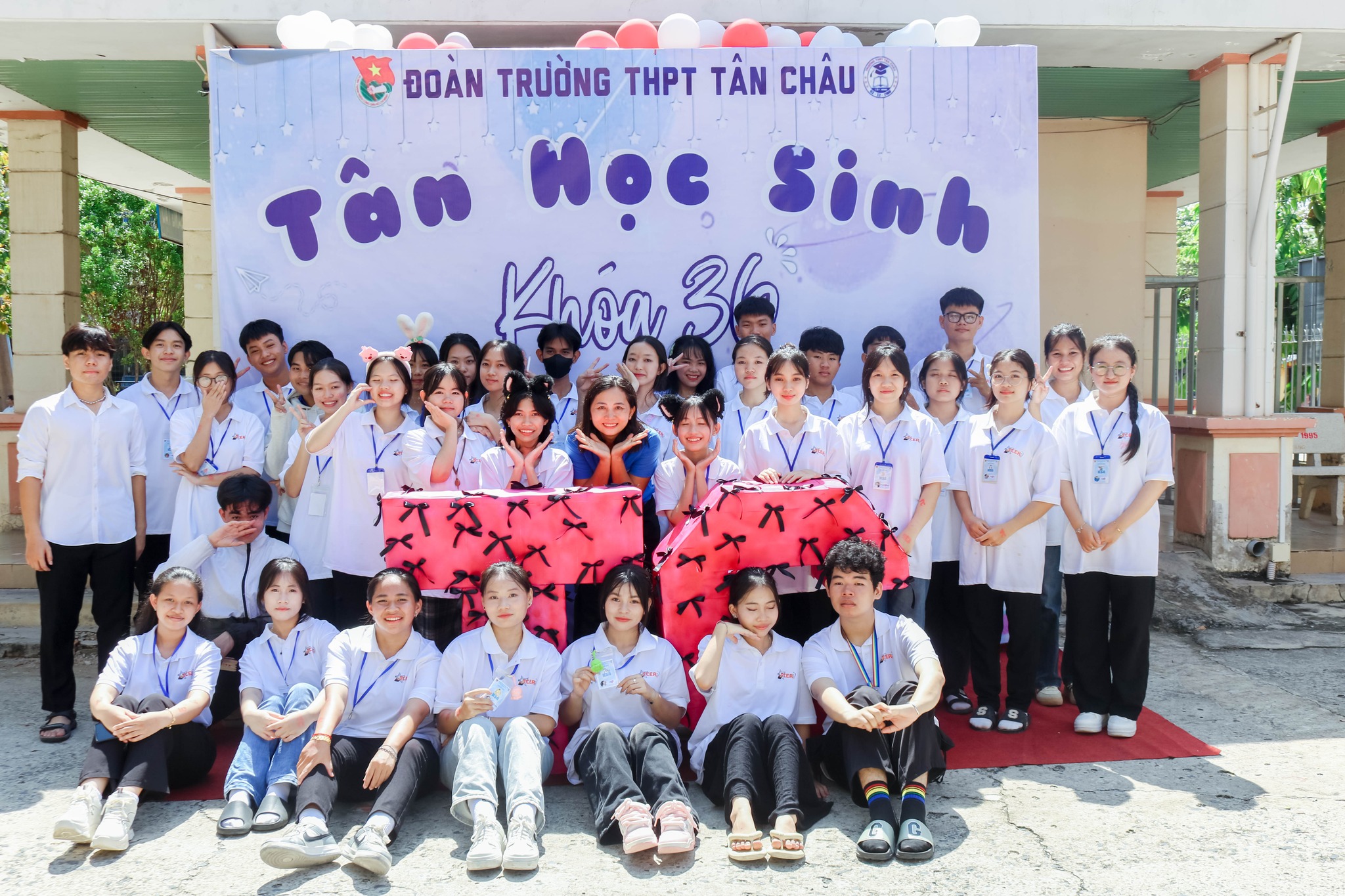 anh tin bai