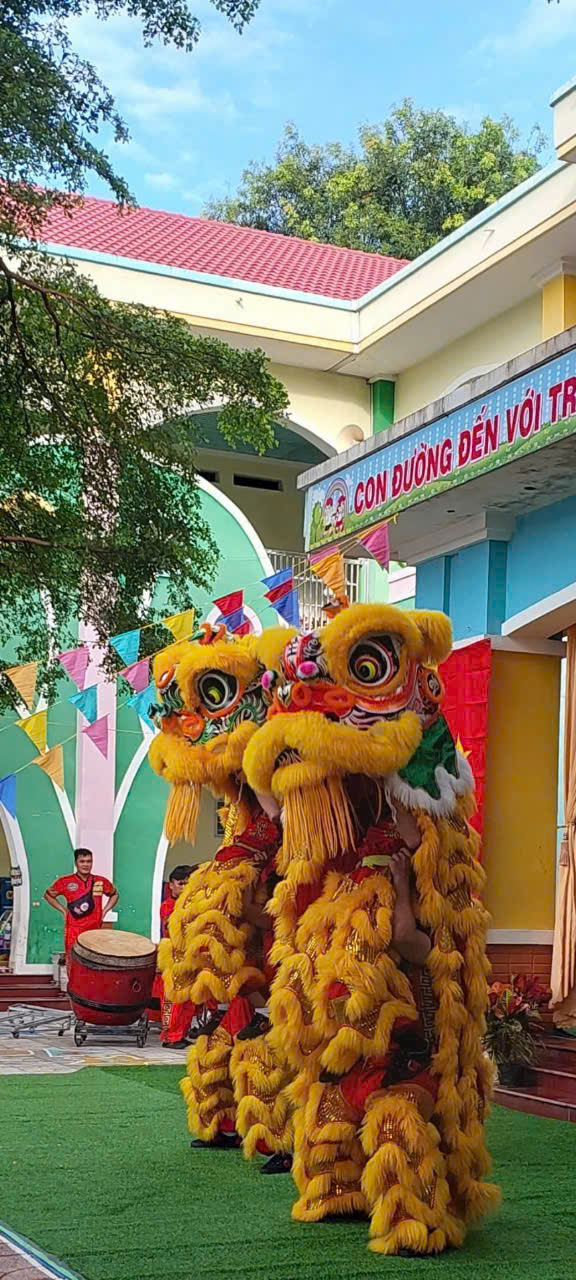 anh tin bai
