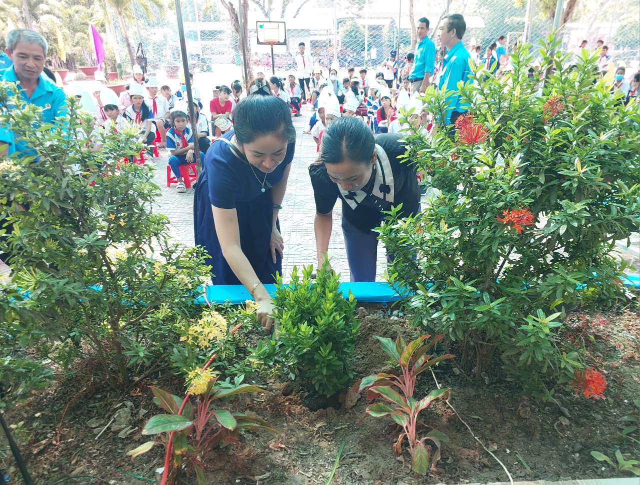 anh tin bai