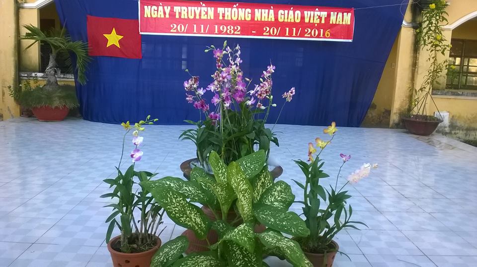 Ảnh 20-11-2015