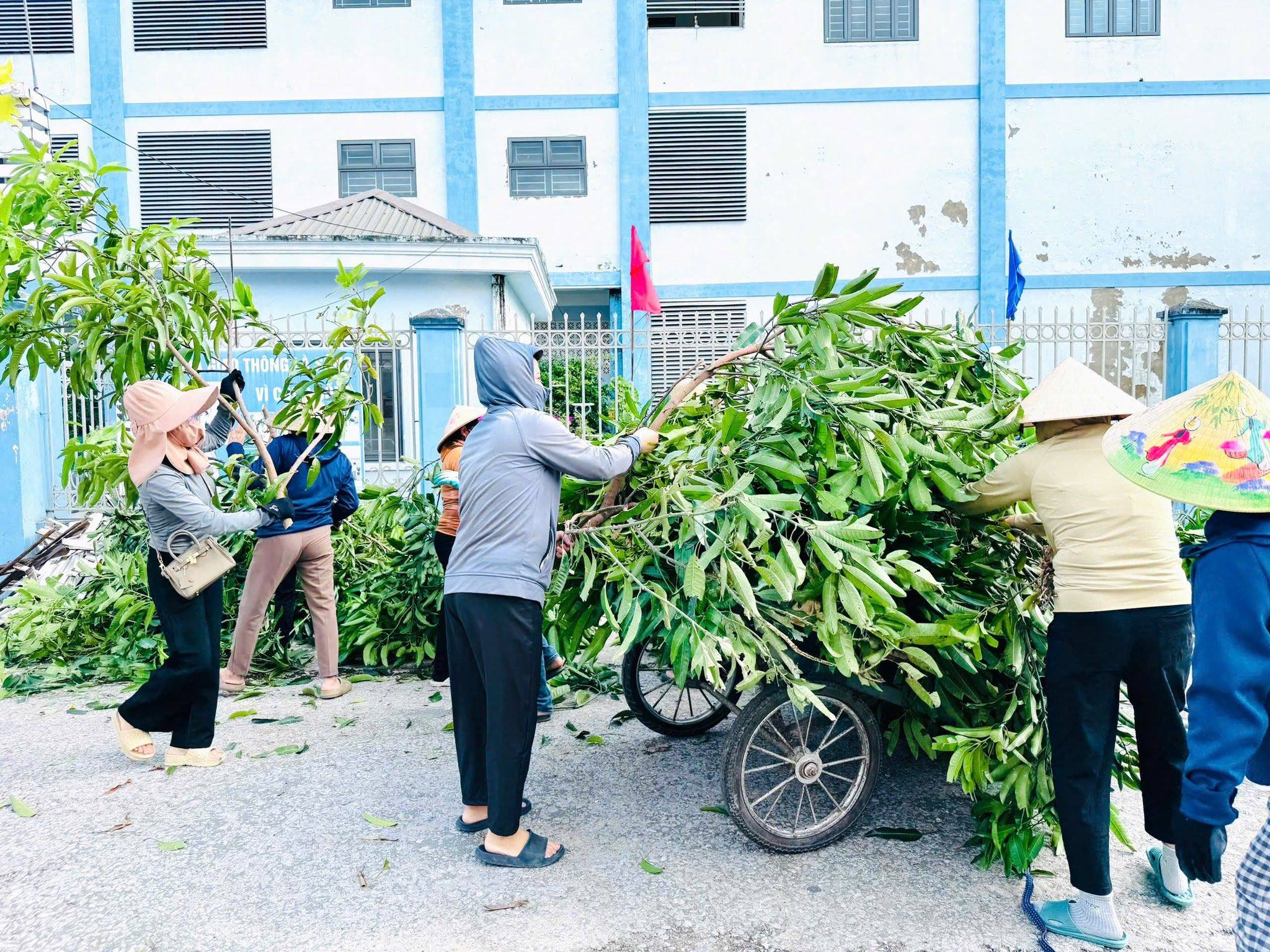 CHUNG SỨC SAU BÃO – VÌ NGÔI TRƯỜNG XANH AN TOÀN